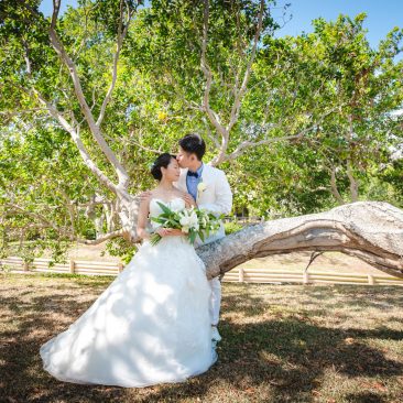 WEDDING REPORT@Sheraton New Caledonia Deva Spa & Golf Resort